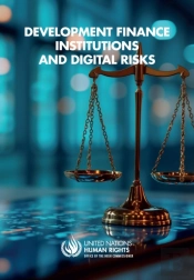 Development Finance Institutions And Digital Risks