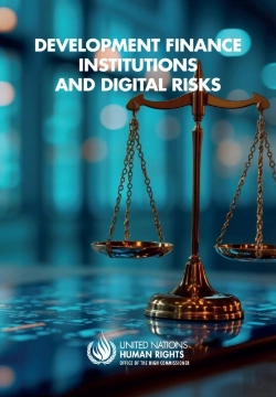 Bertrand.pt - Development Finance Institutions And Digital Risks