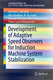 Development Of Adaptive Speed Observers For Induction Machine System Stabilization