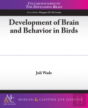 Development Of Brain & Behaviour In Bird