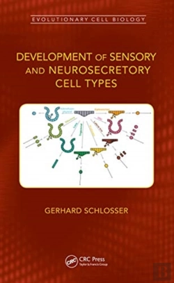 Bertrand.pt - Development Of Sensory And Neurosecretory Cell Types