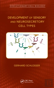 Development Of Sensory And Neurosecretory Cell Types