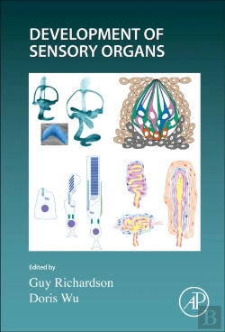 Bertrand.pt - Development Of Sensory Organs
