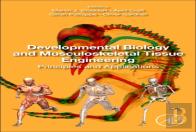 Developmental Biology And Musculoskeletal Tissue Engineering