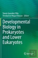 Developmental Biology In Prokaryotes And Lower Eukaryotes