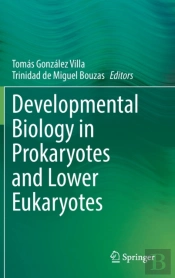 Developmental Biology In Prokaryotes And Lower Eukaryotes