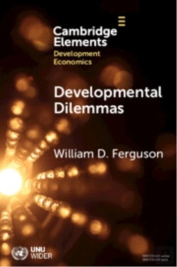 Bertrand.pt - Developmental Dilemmas