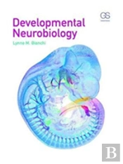 Developmental Neurobiology