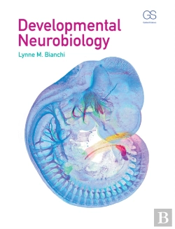 Bertrand.pt - Developmental Neurobiology