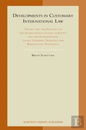 Developments In Customary International Law