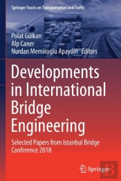 Developments In International Bridge Engineering