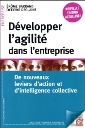 Developper L Agilite En Entreprise Ned