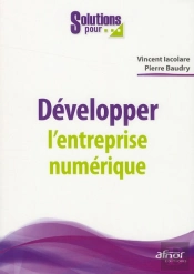 developper l'entreprise numerique