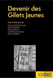 Devenir Des Gilets Jaunes