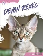 Devon Rexes
