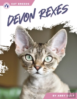 Bertrand.pt - Devon Rexes