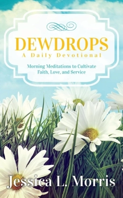 Bertrand.pt - Dewdrops