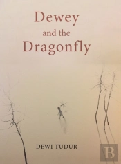 Dewey And The Dragonfly