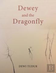Dewey And The Dragonfly