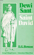 Dewi Sant