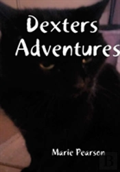 Dexters Adventures