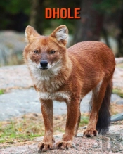 Dhole