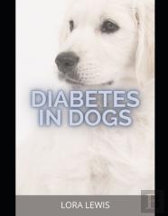 Diabetes In Dogs