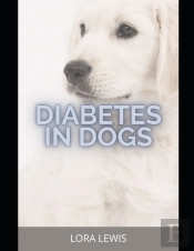 Diabetes In Dogs