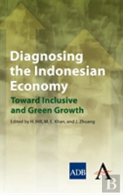 Diagnosing The Indonesian Economy