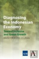 Diagnosing The Indonesian Economy