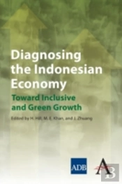 Diagnosing The Indonesian Economy