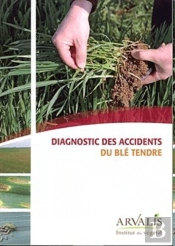 Diagnostic Des Accidents Du Ble Tendre D'Hiver Ref 9703