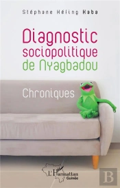 Diagnostic Sociopolitique De Nyagbadou : Chroniques