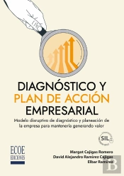 Diagnóstico Y Plan De Acción Empresarial