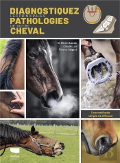 Diagnostiquez Les Principales Pathologies De Votre Cheval : Une Méthode Simple Et Efficace