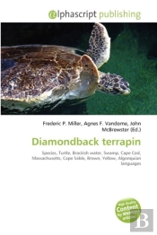 Diamondback Terrapin
