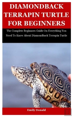Bertrand.pt - Diamondback Terrapin Turtle For Beginners