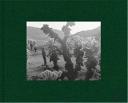Bertrand.pt - Diana Michener: Trance