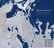 Diane Burko: Glacial Shifts, Changing Perspectives