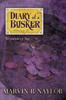 Diary Of A Busker