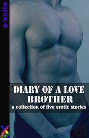 Diary Of A Love Brother