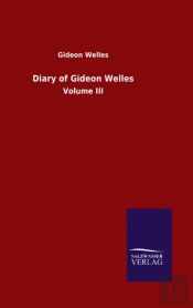 Diary Of Gideon Welles:Volume Iii