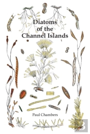 Diatoms Of The Channel Islands