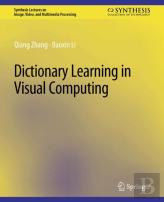 Dictionary Learning In Visual Computing