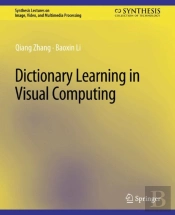 Dictionary Learning In Visual Computing