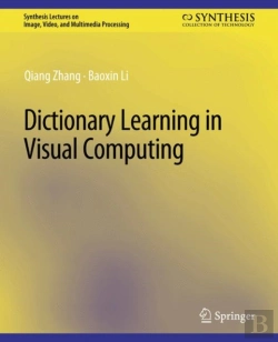 Bertrand.pt - Dictionary Learning In Visual Computing