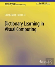 Dictionary Learning In Visual Computing