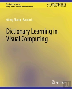 Bertrand.pt - Dictionary Learning In Visual Computing