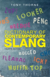 Dictionary Of Contemporary Slang