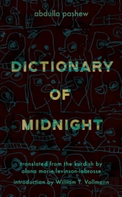 Dictionary Of Midnight